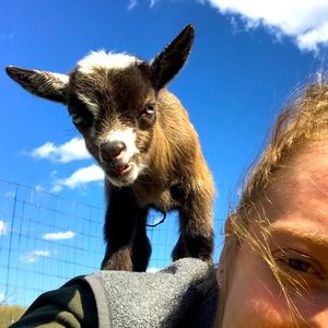 Meet your Posher, Natasha